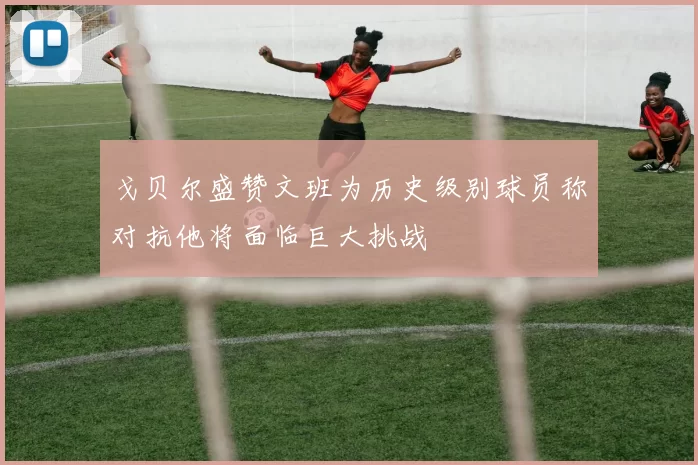 戈贝尔盛赞文班为历史级别球员称对抗他将面临巨大挑战