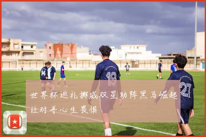 世界杯巡礼挪威双星助阵黑马崛起让对手心生畏惧